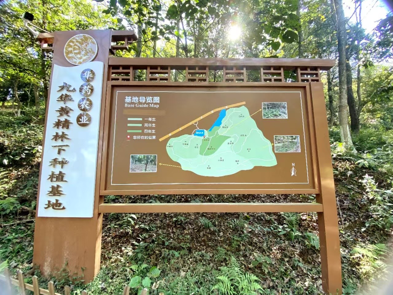 道地优质原料开发