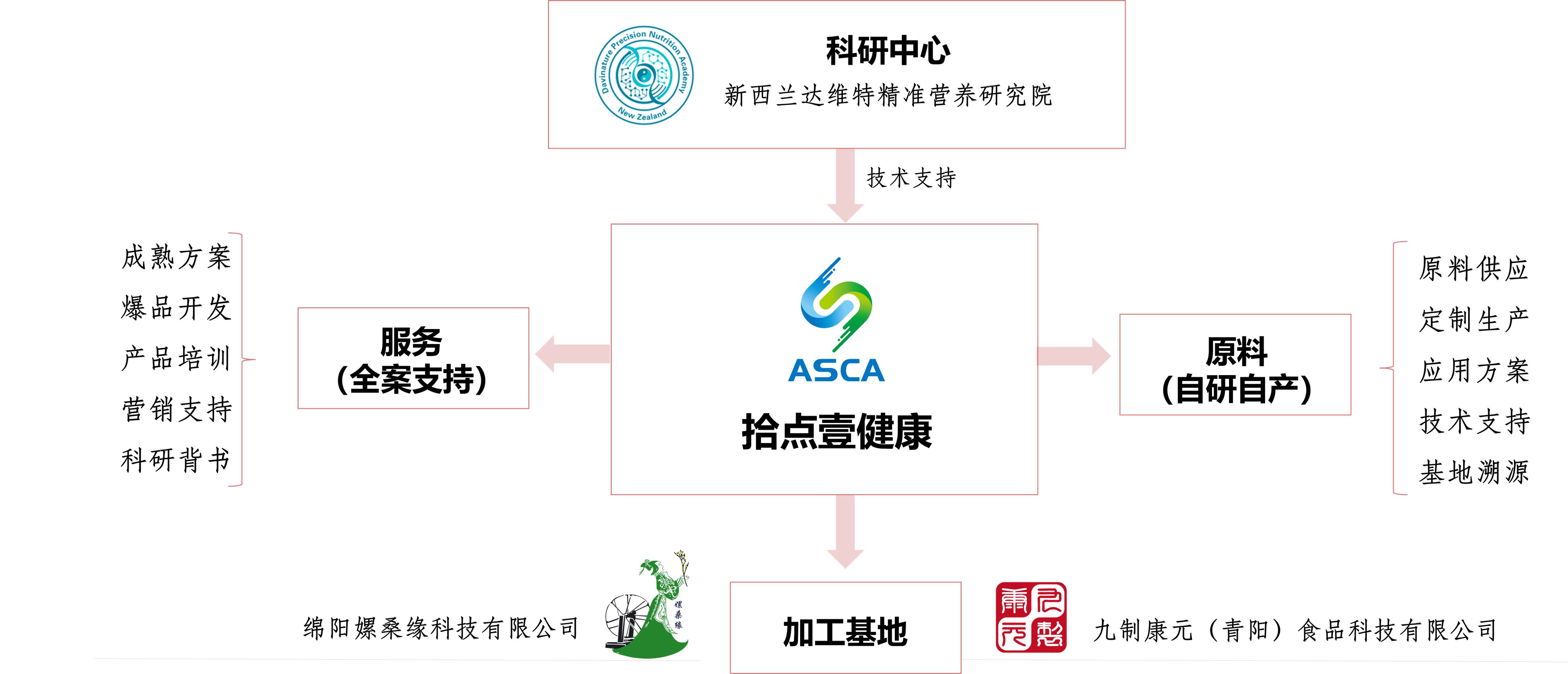 公司结构.png